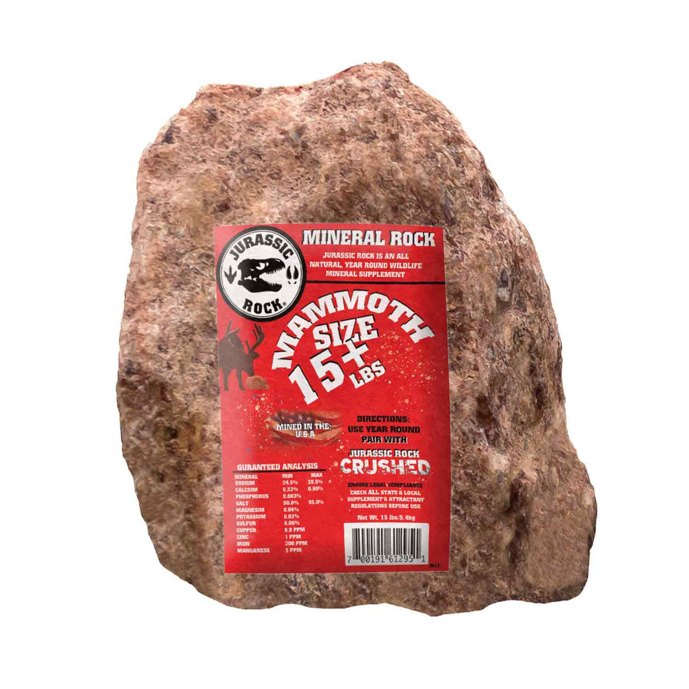Jurassic Rock 15lb Mineral Block