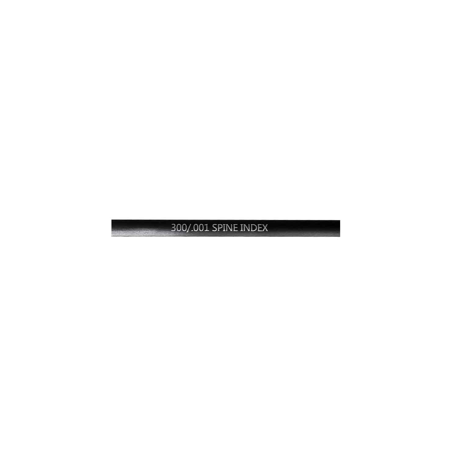 Black Eagle FOCUS V1 .165 Carbon Arrow Shafts