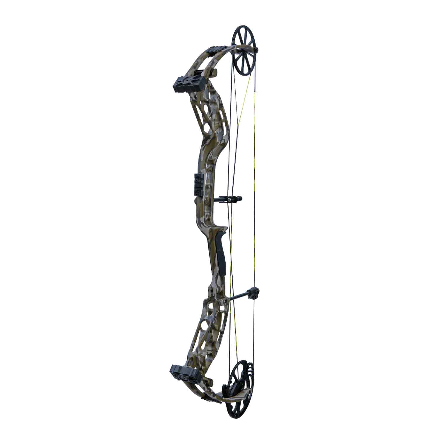 Bear Adapt 2 The Hunting Public Compound Bow