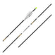 Easton X10 Parallel Pro 4mm Match Grade Fletched Arrows