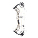 Bear Legend 30 Compound Hunting Bow