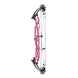 Hoyt Concept X 37 Compound Target Bow with High Gloss Limbs