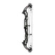 Hoyt Concept X 37 Compound Target Bow with Standard Limbs