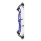 Hoyt Concept X 37 Compound Target Bow with High Gloss Limbs (LEFT HAND) (Clearance X1047550)