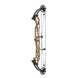 Hoyt Concept X 37 Compound Target Bow with High Gloss Limbs