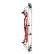 Hoyt Concept X 37 Compound Target Bow with High Gloss Limbs
