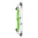 Hoyt Concept X 37 Compound Target Bow with High Gloss Limbs