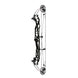 Hoyt Concept X 37 Compound Target Bow with High Gloss Limbs