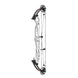 Hoyt Concept X 37 Compound Target Bow with High Gloss Limbs