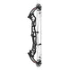 Hoyt Concept FX 34 Compound Target Bow with High Gloss Limbs