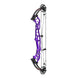 Hoyt Concept FX 34 Compound Target Bow with High Gloss Limbs