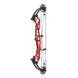 Hoyt Concept FX 34 Compound Target Bow with High Gloss Limbs