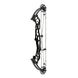 Hoyt Concept FX 34 Compound Target Bow with High Gloss Limbs