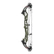 Hoyt Concept FX 34 Compound Target Bow with High Gloss Limbs