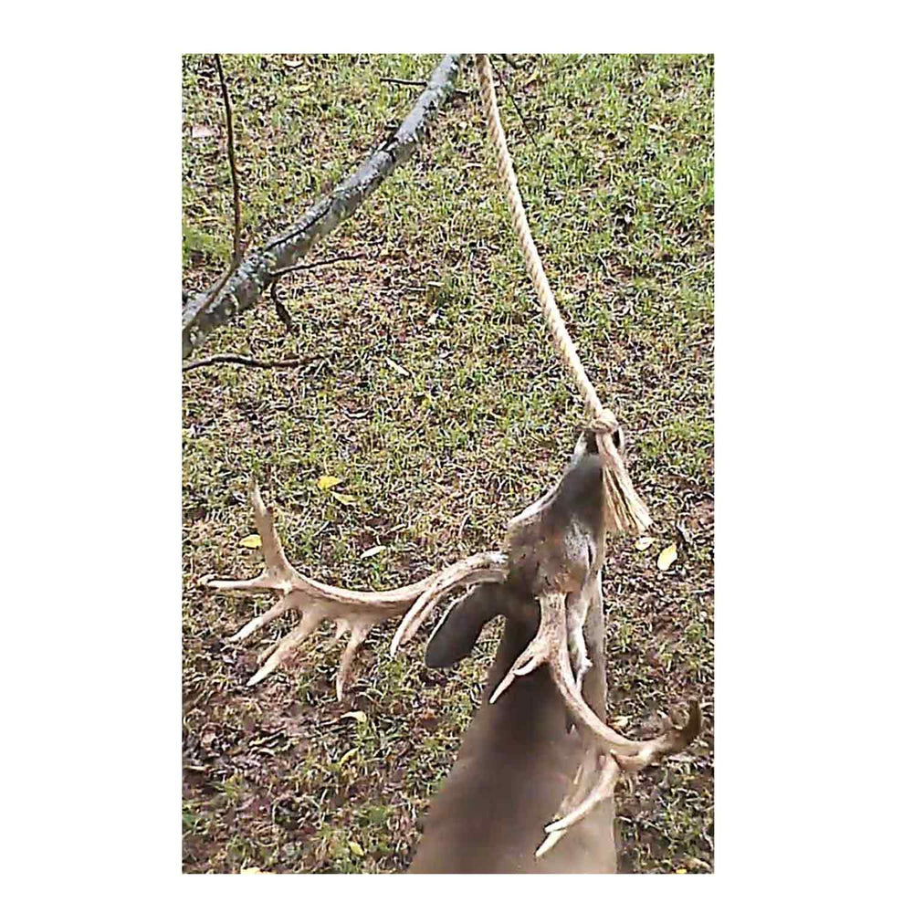 Tink's Naturally Primed Scrape Rope
