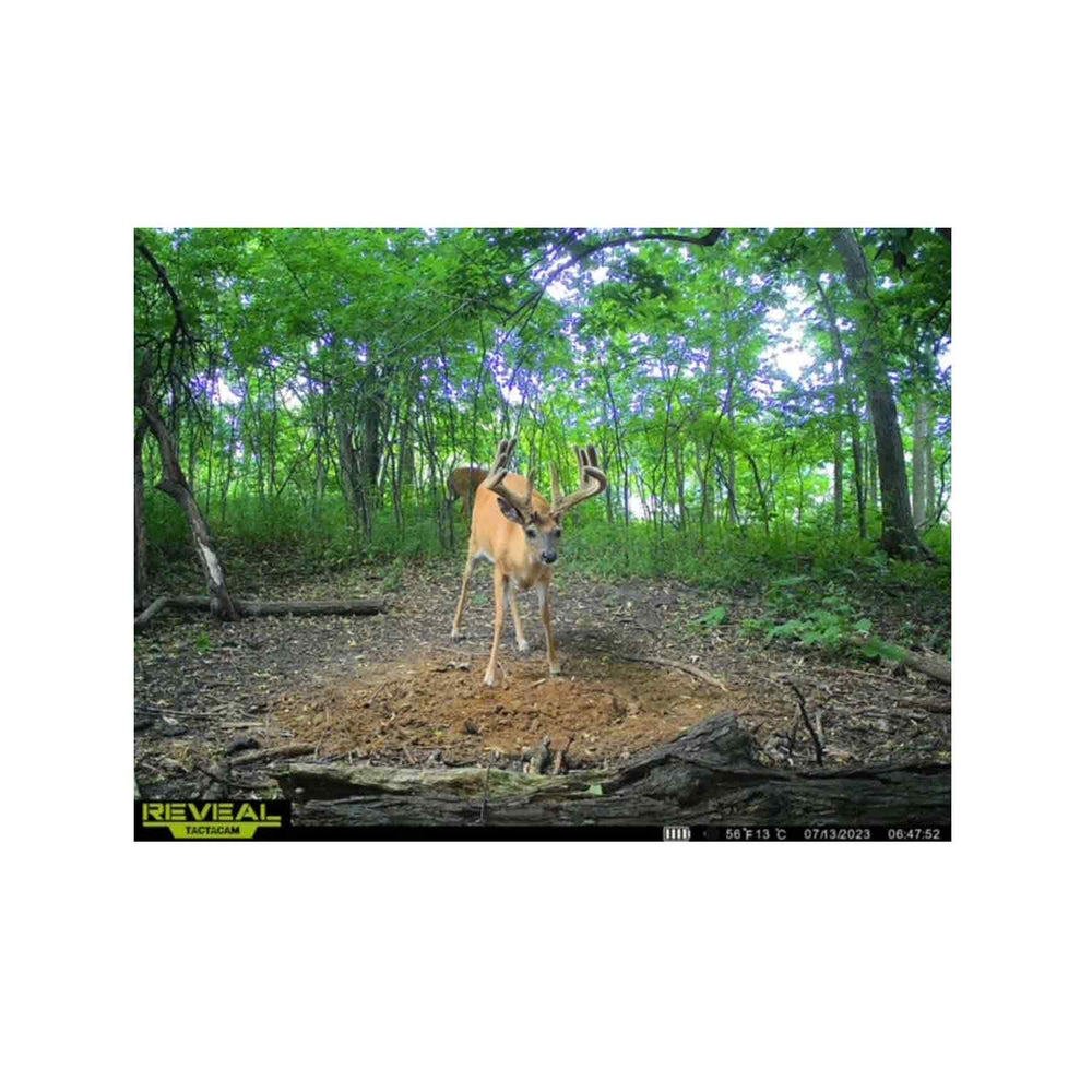 Domain Recharge Deer Mineral Bucket
