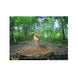 Domain Recharge Deer Mineral Bucket