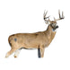 Deadnuts Outdoors 2D Whitetail Willy Broadside QuivAR Target