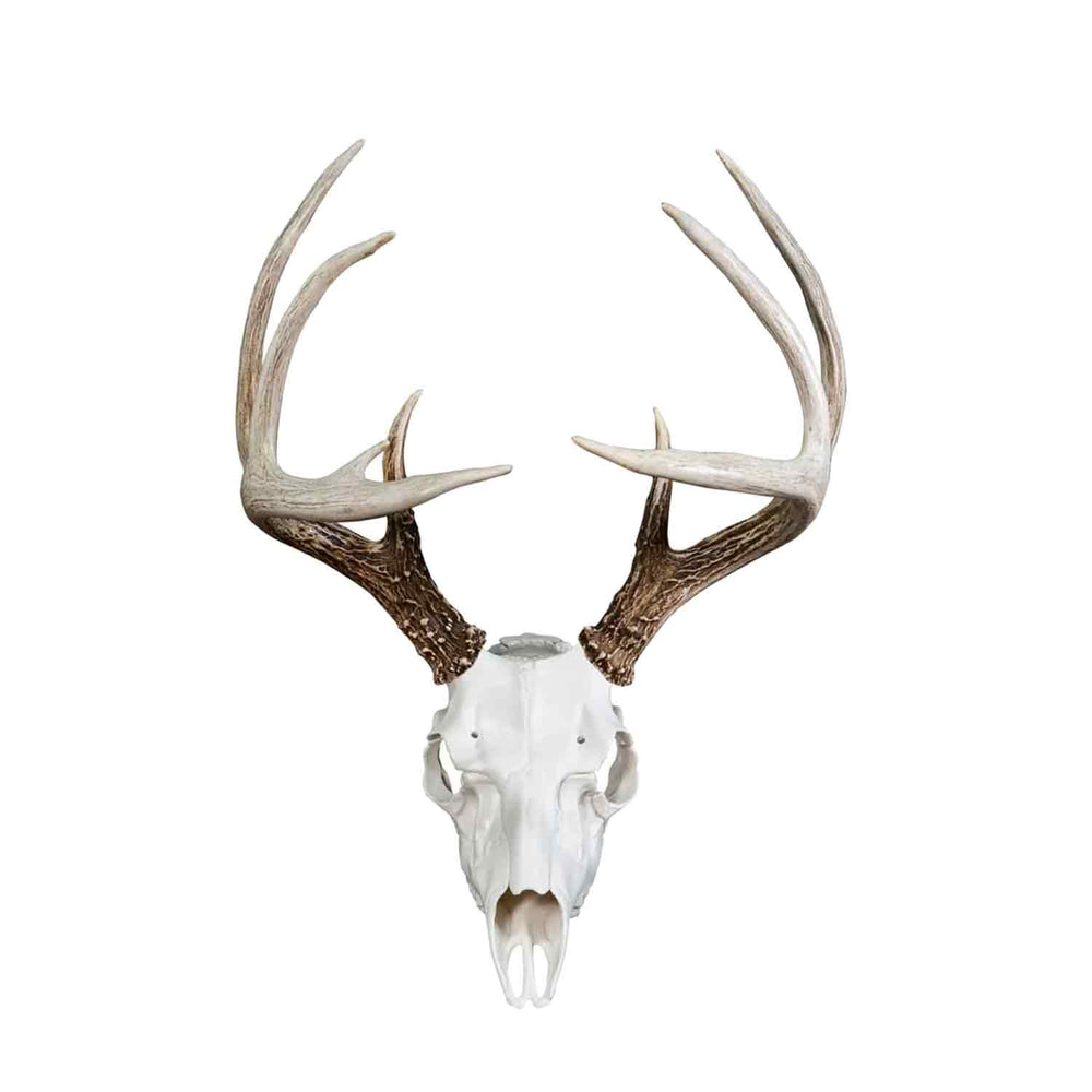 Illusion Skull Master White European Mounting System