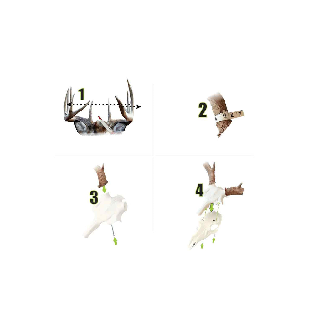 Illusion Skull Master White European Mounting System
