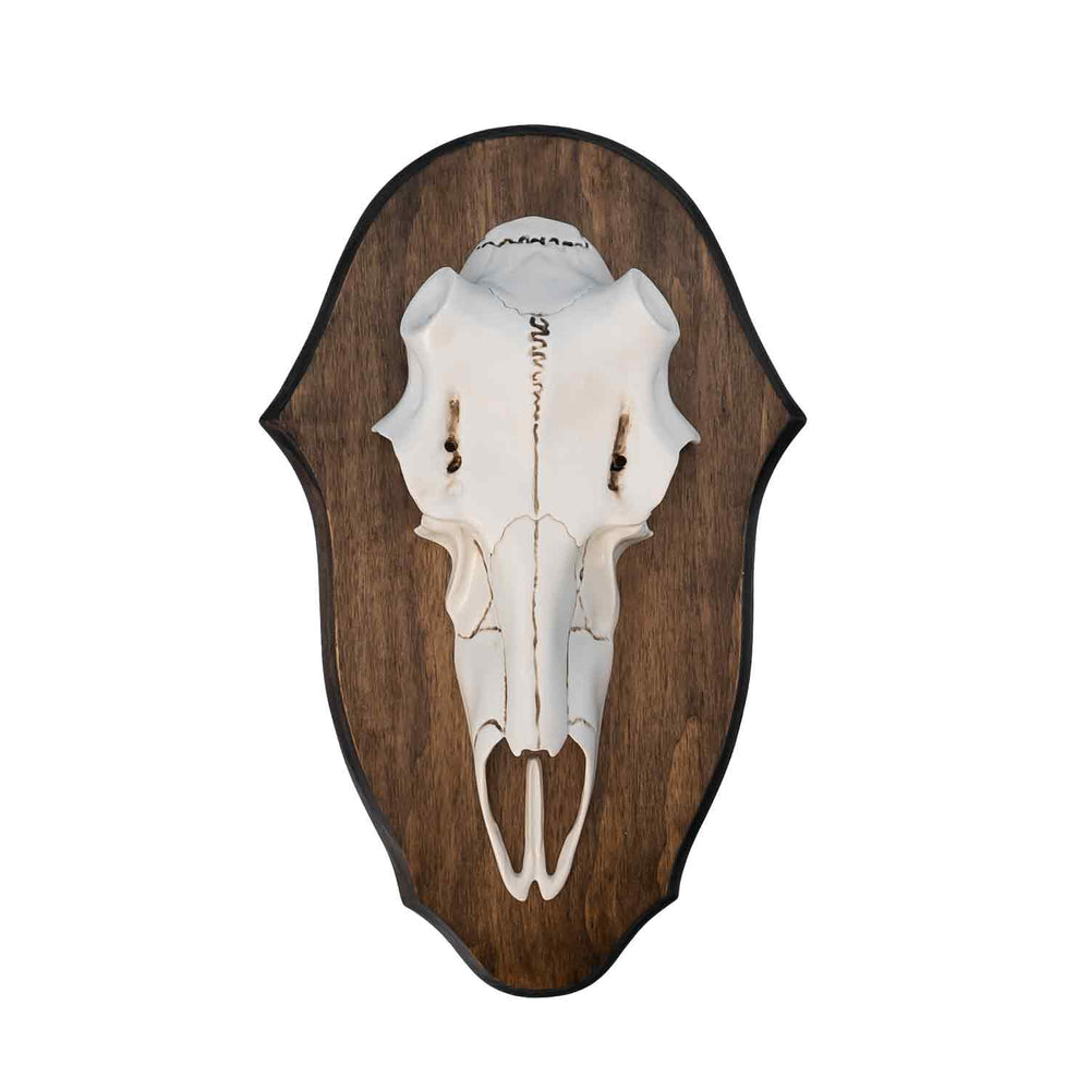 Illusion Black Forest Natural Causes Antler Mount Kit