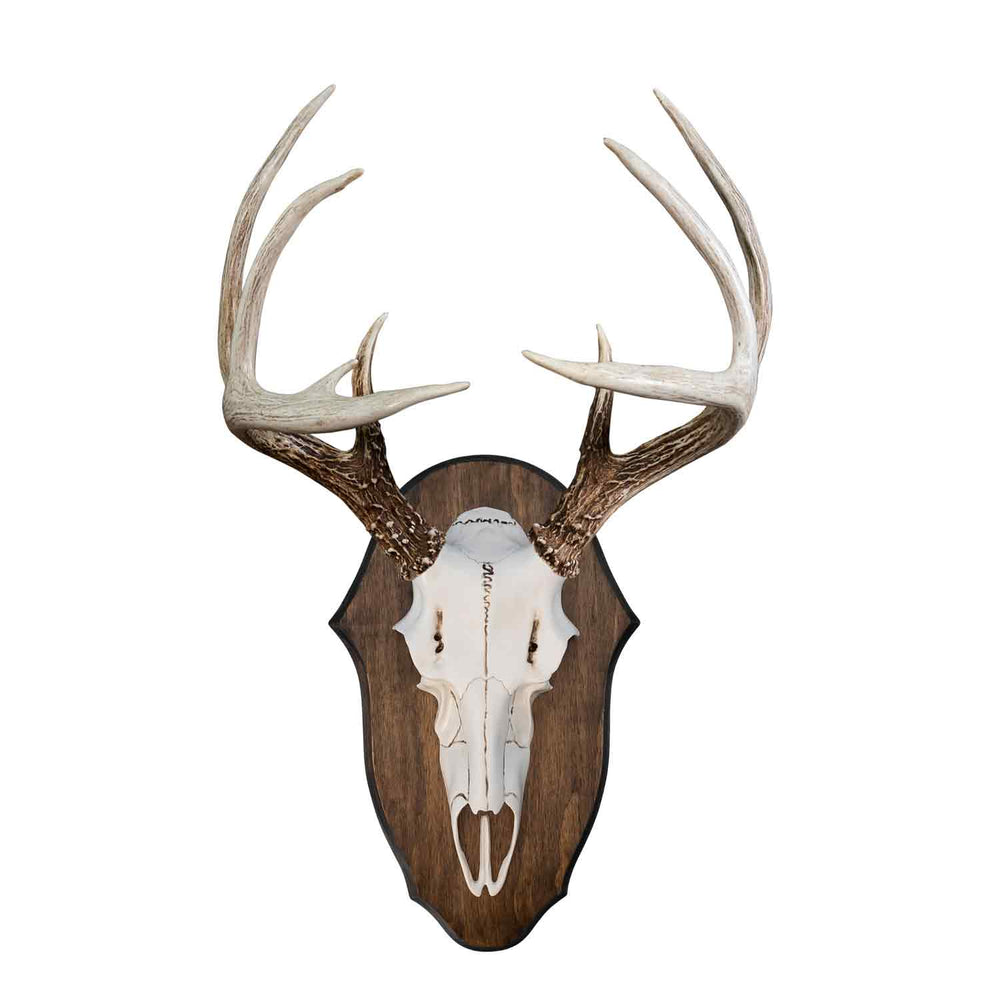 Illusion Black Forest Natural Causes Antler Mount Kit