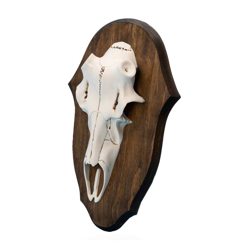 Illusion Black Forest Natural Causes Antler Mount Kit
