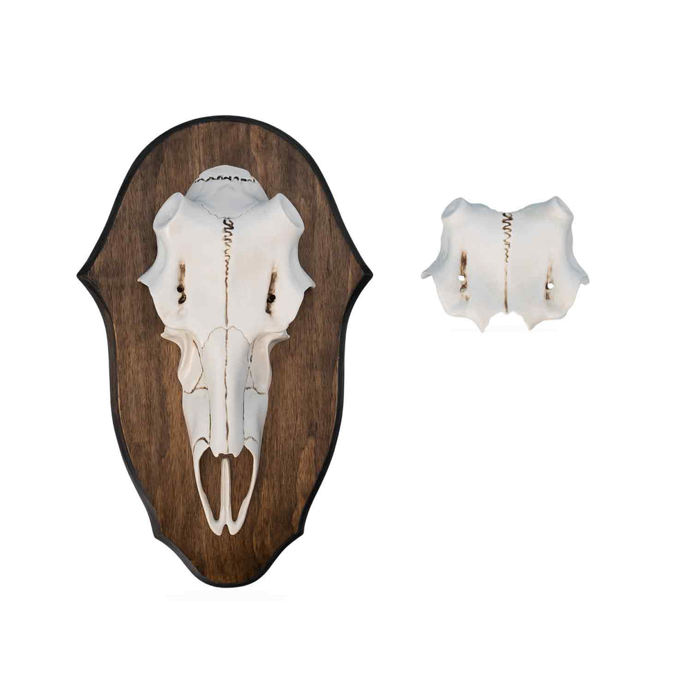 Illusion Black Forest Natural Causes Antler Mount Kit