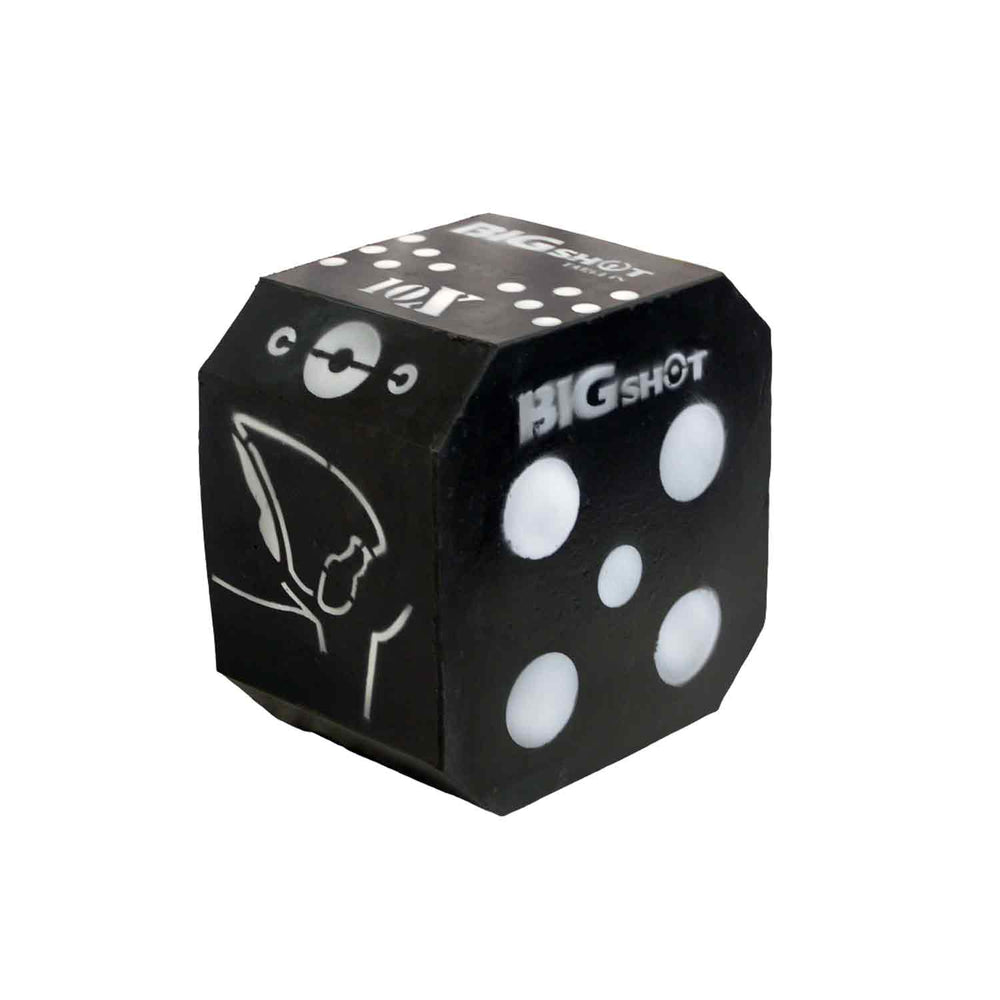 BIGshot Titan 10XS Broadhead Target (Manufacturer Blem)