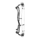 Elite Victra Standard Color Compound Target Bow