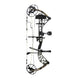 Bear THP Adapt 2 HP RTH Compound Bow Package