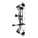Bowtech Ascend Compound Hunting Bow with DLX Package