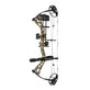 Diamond Infinite Edge Pro Legacy Compound Bow-LH-MOBtmld (Open Box X1045047)