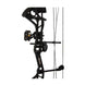 Bear Shooutout RTH Compound Hunting Bow Package