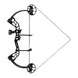 Bear Shooutout RTH Compound Hunting Bow Package