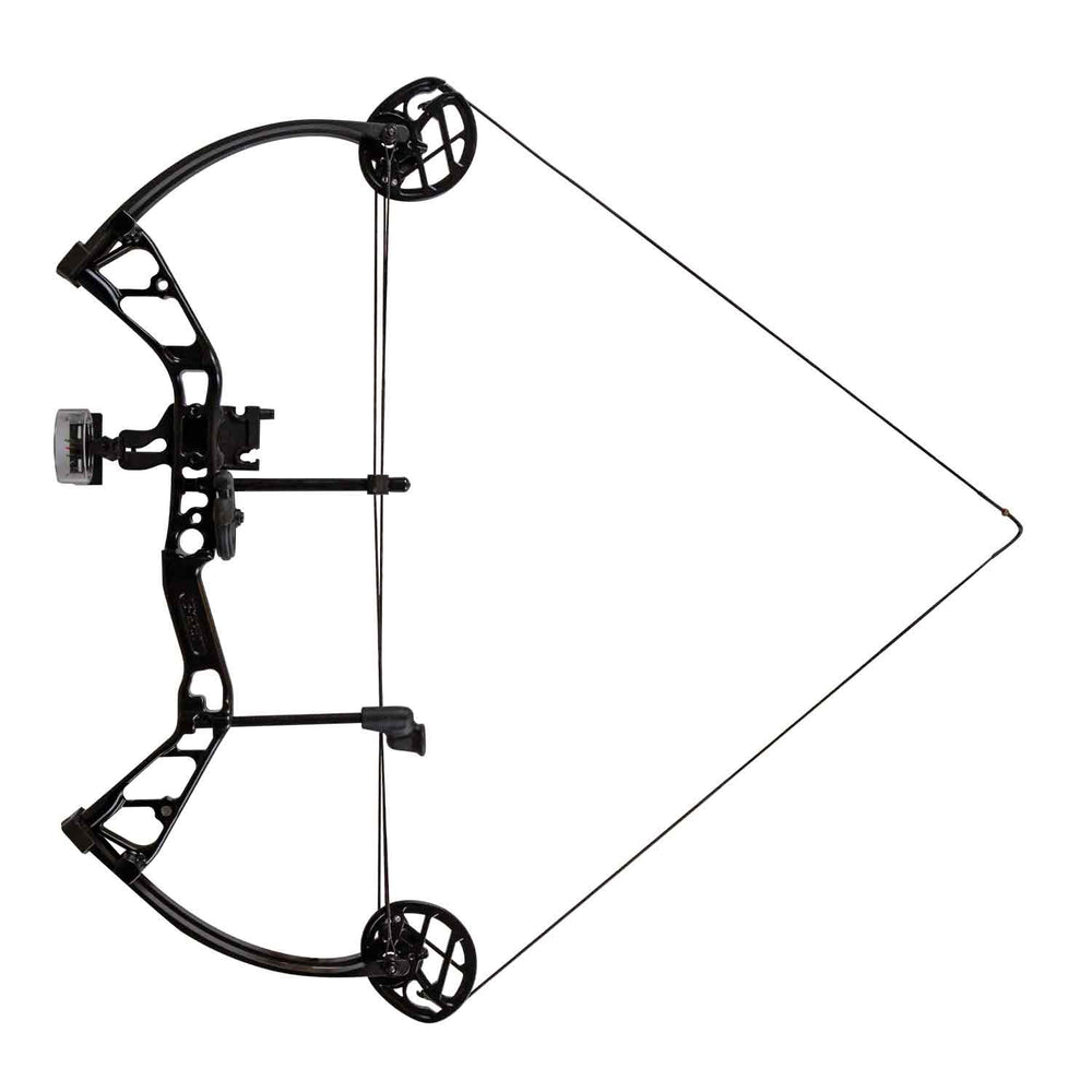 Bear Frontier RTS Compound Bow Package