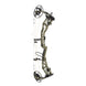 Bear Redeem Compound Hunting Bow