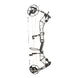 Bear Redeem Compound Hunting Bow