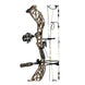 Bear THP Adapt 2 Plus HP Sync RTH Compound Bow Package