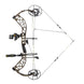 Bear THP Adapt 2 Plus HP Sync RTH Compound Bow Package