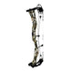 Darton TRITECH 35 Compound Hunting Bow