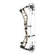 Elite Axys Carbon Compound Hunting Bow