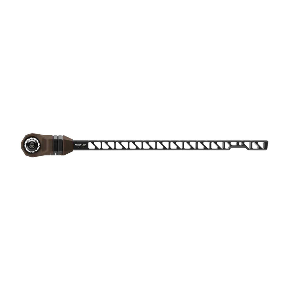 Mathews 12
