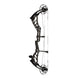 Bowtech Alliance 30 Compound Hunting Bow
