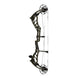 Bowtech Alliance 30 Compound Hunting Bow