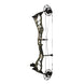 Bowtech Alliance 30 Compound Hunting Bow