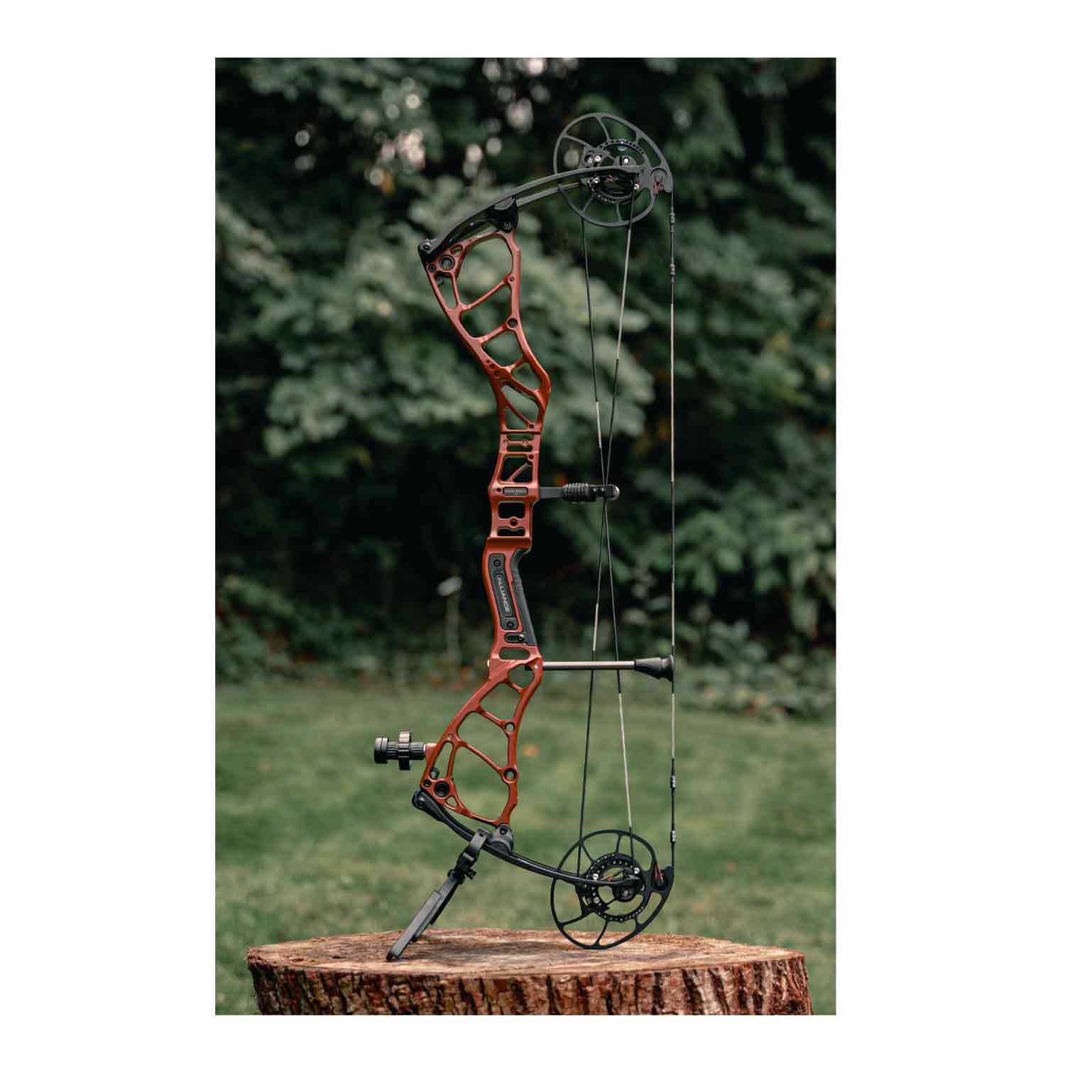Bowtech Alliance 30 Compound Hunting Bow