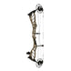 Bowtech Alliance 33 Compound Hunting Bow