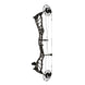 Bowtech Alliance 33 Compound Hunting Bow