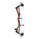 Bowtech Alliance 33 Compound Hunting Bow
